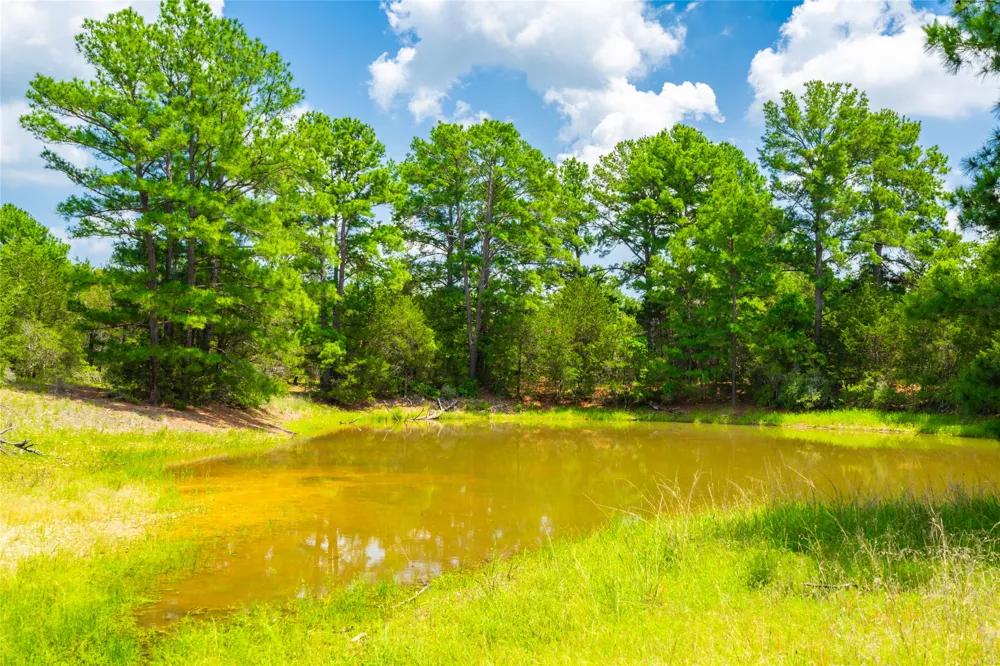 677 Old Antioch Road Smithville, TX 78957