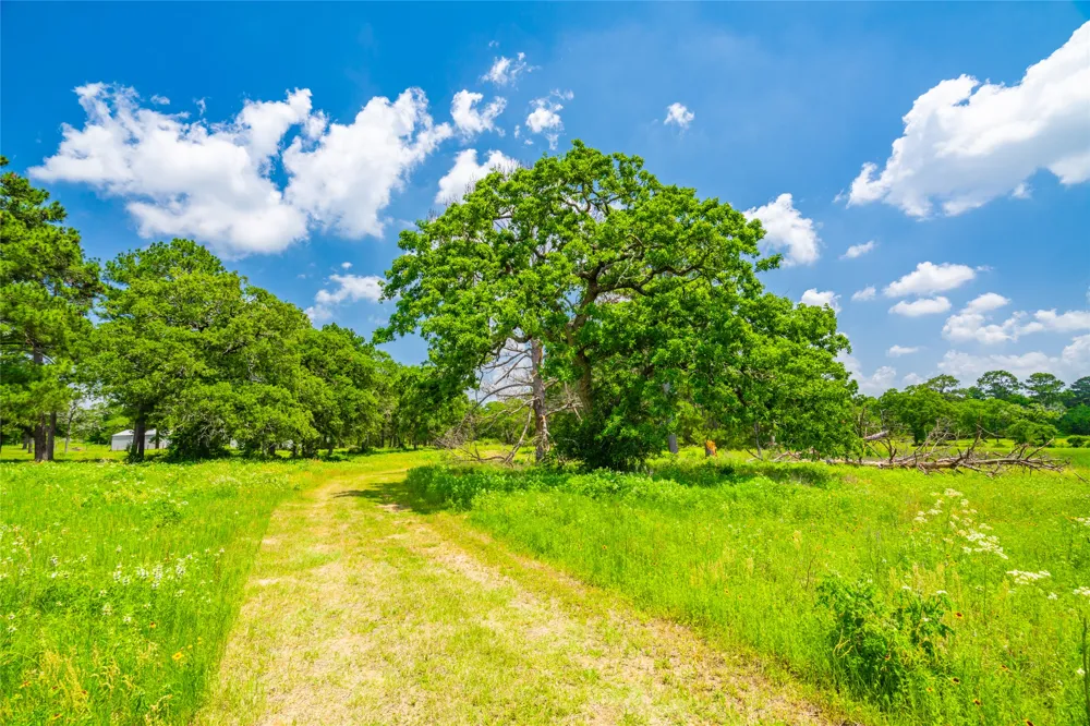 677 Old Antioch Road Smithville, TX 78957