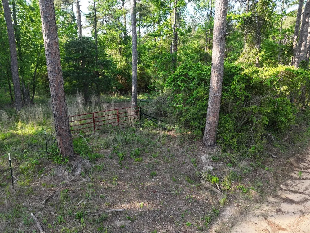1545 County Road Crockett, TX 75835