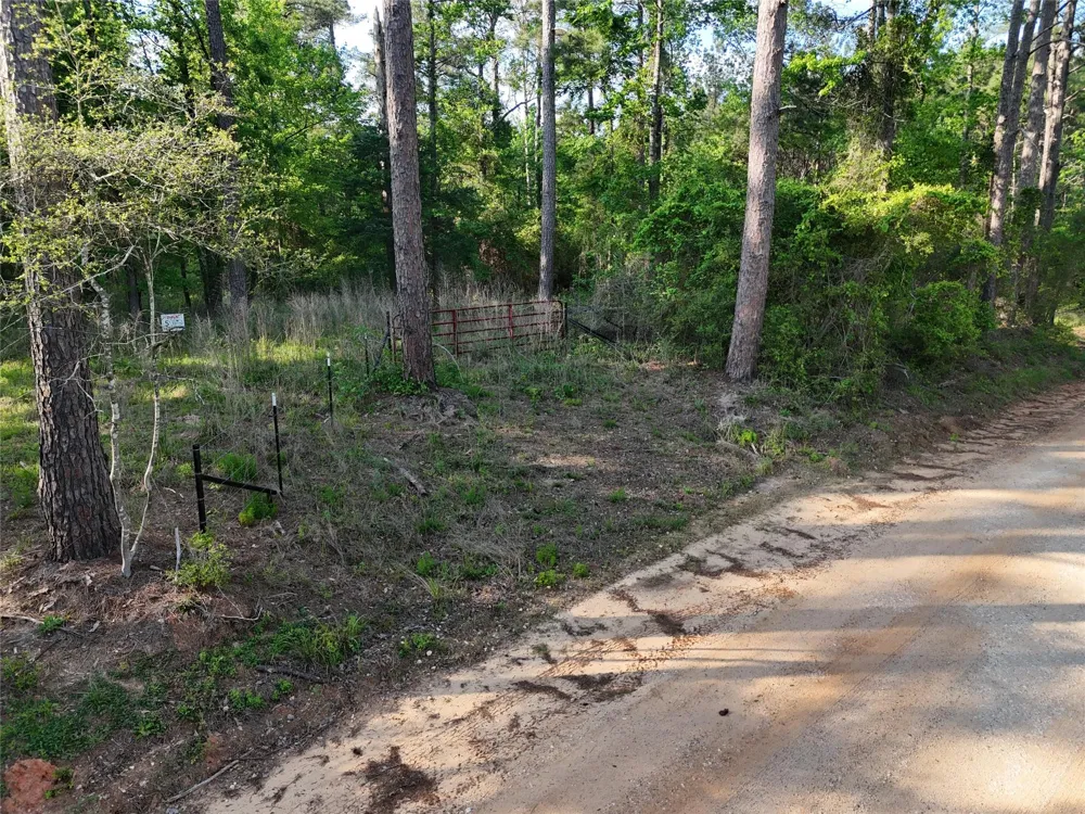 1545 County Road Crockett, TX 75835