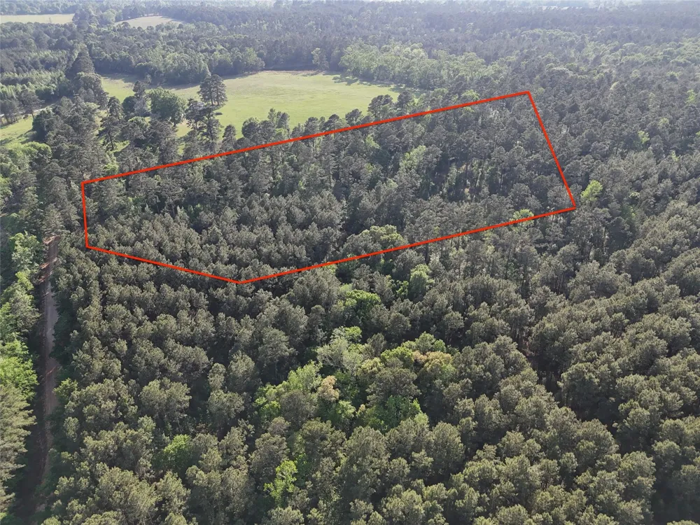 1545 County Road Crockett, TX 75835