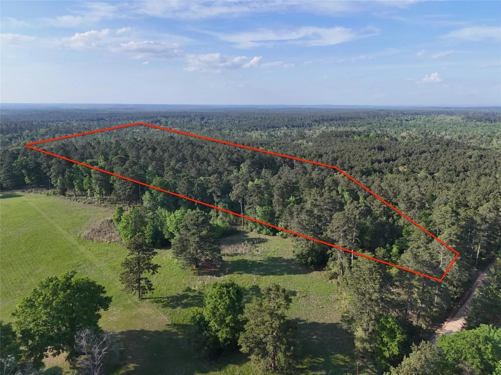 1545 County Road Crockett, TX 75835