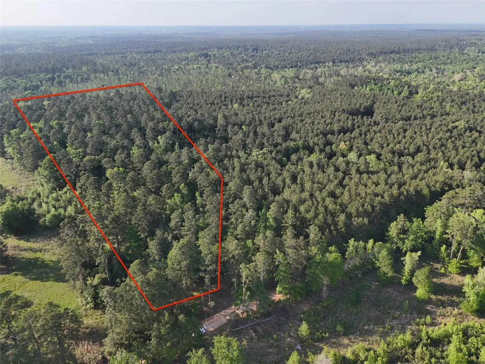 1545 County Road Crockett, TX 75835
