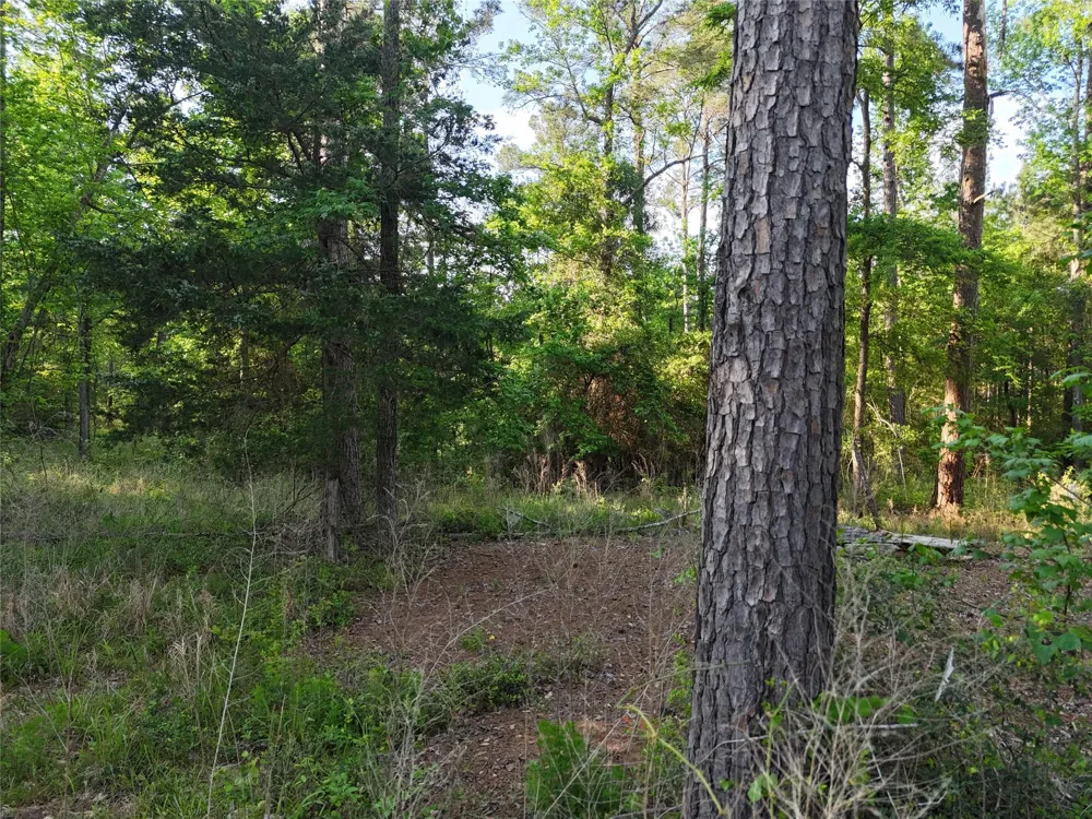 1545 County Road Crockett, TX 75835