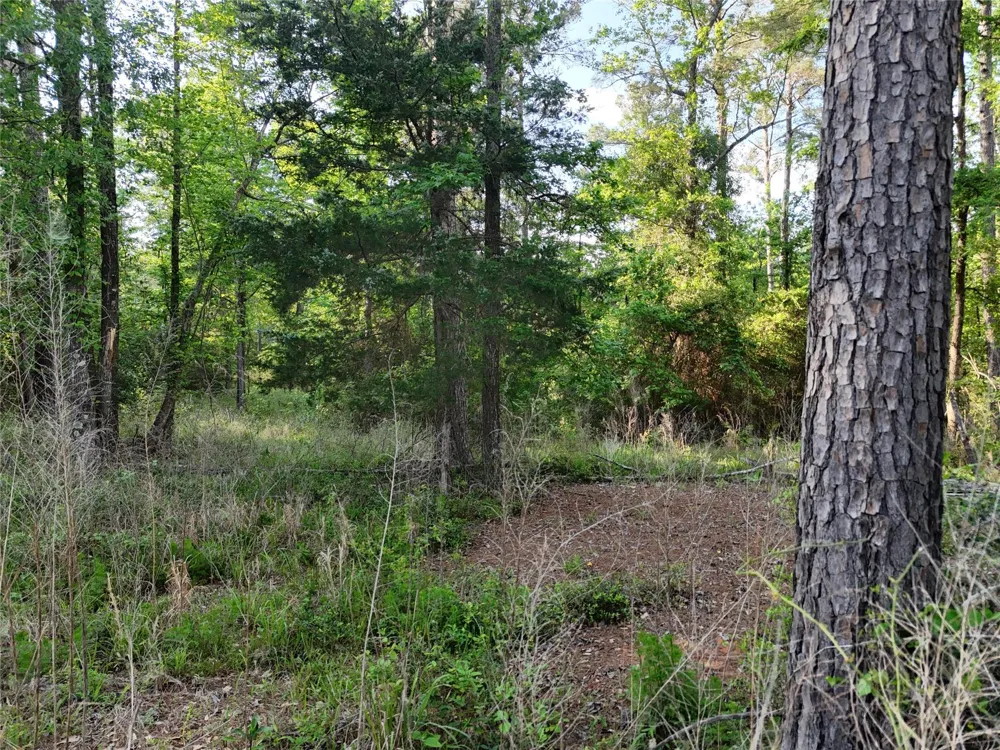 1545 County Road Crockett, TX 75835