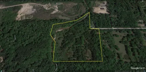 Brook Forest
