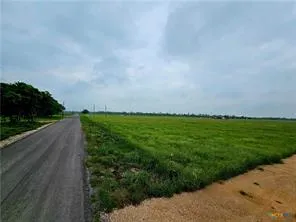 CR 337