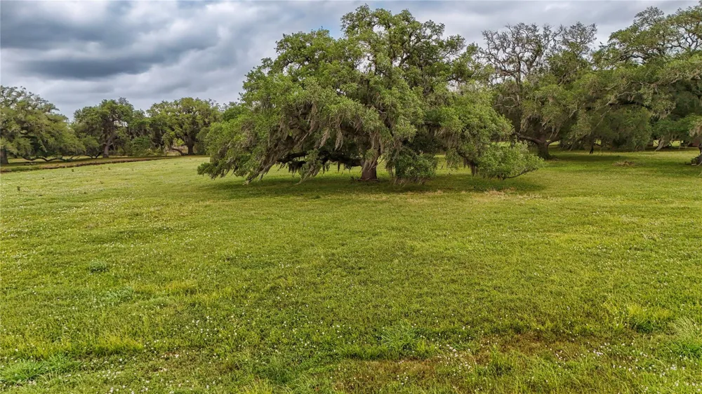 1207 Mill Road Angleton, TX 77515