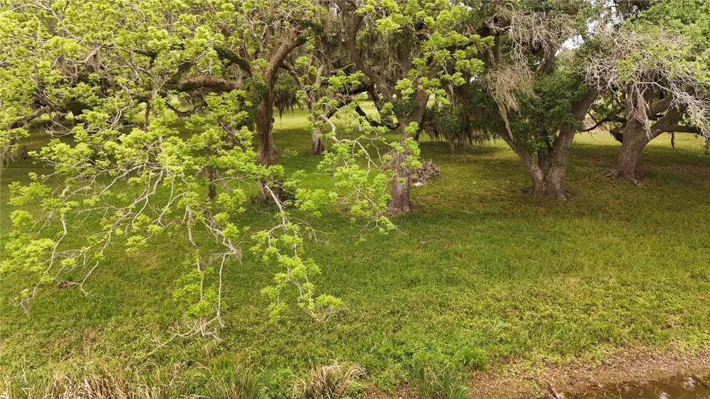 1207 Mill Road Angleton, TX 77515