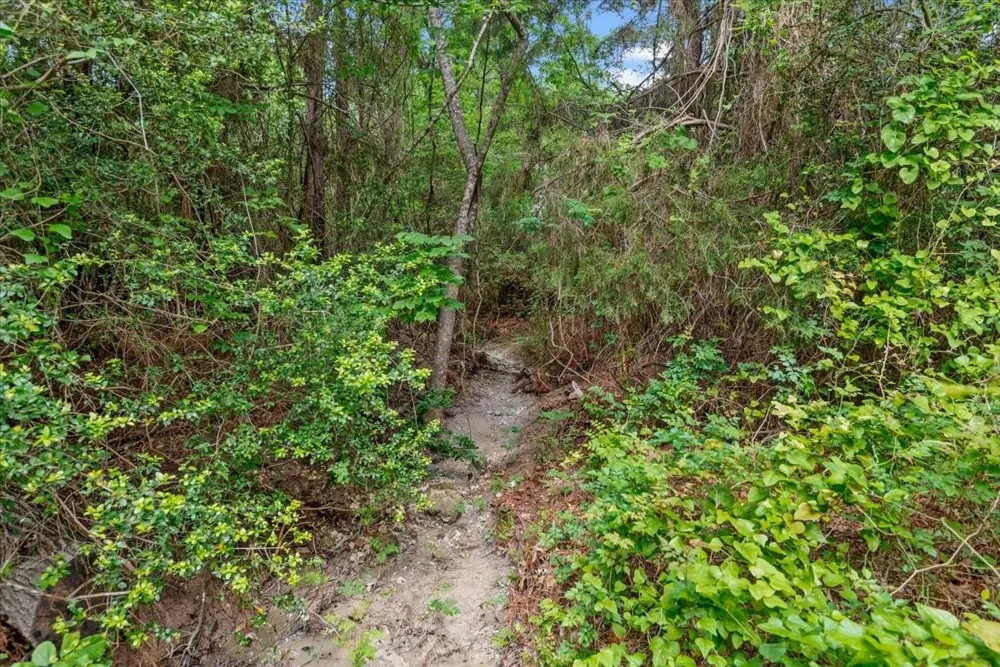 8172 County Road 208 Navasota, TX 77868