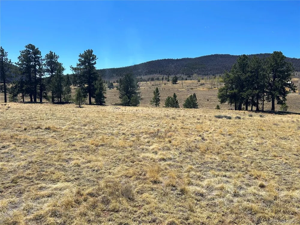 Singletree Road Buena Vista, CO 81211