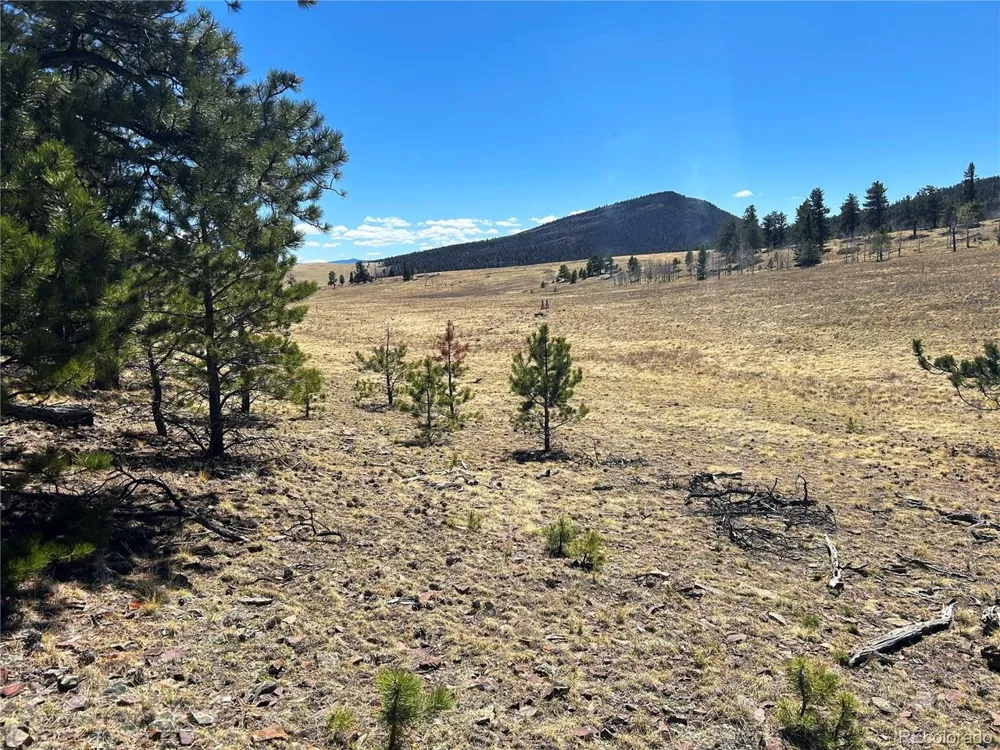 Singletree Road Buena Vista, CO 81211