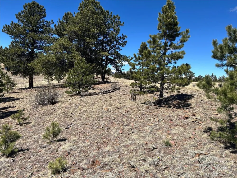 Singletree Road Buena Vista, CO 81211