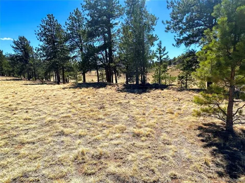 Singletree Road