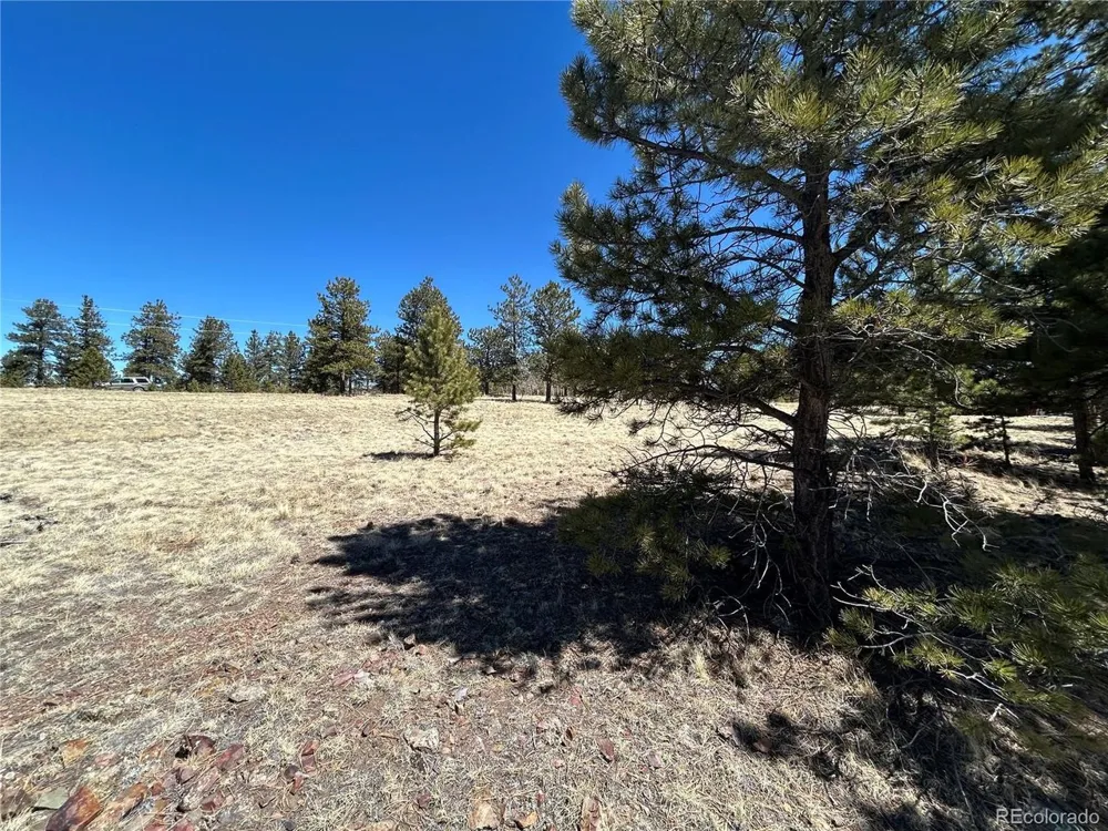 Singletree Road Buena Vista, CO 81211