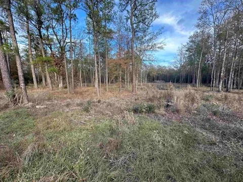10499 County Road 701