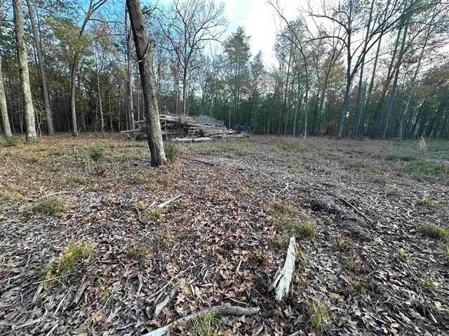 10499 County Road 701 Buna, TX 77612
