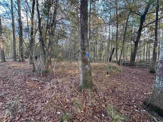 10499 County Road 701 Buna, TX 77612