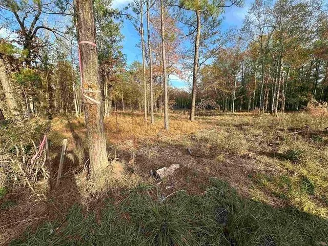 10499 County Road 701 Buna, TX 77612