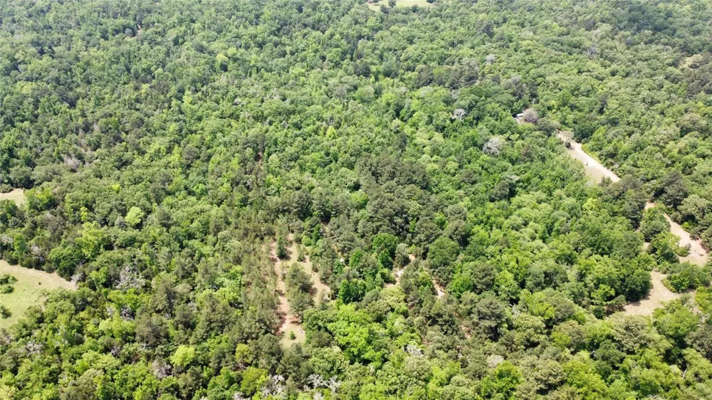 Pr 2210 Buffalo, TX 75831