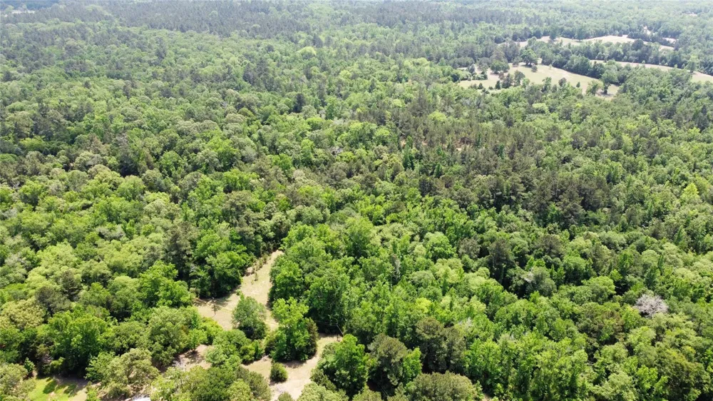 Pr 2210 Buffalo, TX 75831