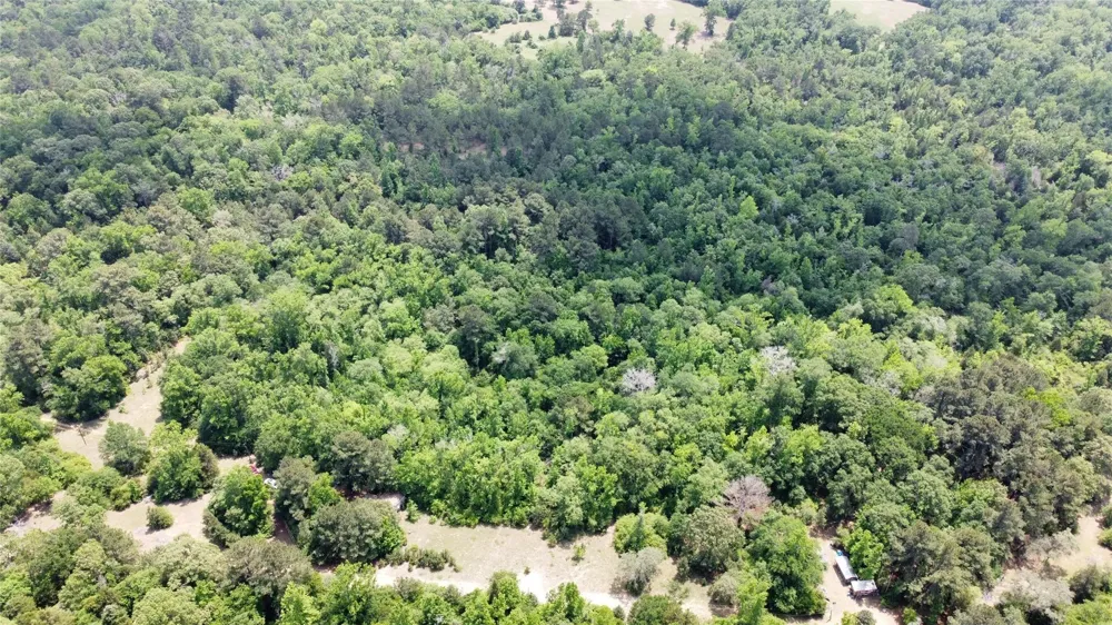 Pr 2210 Buffalo, TX 75831