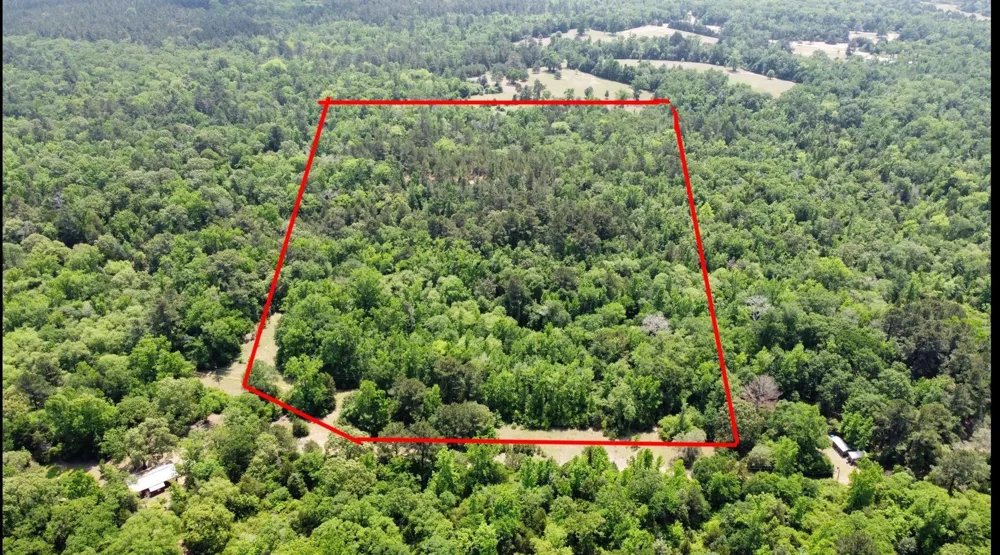 Pr 2210 Buffalo, TX 75831