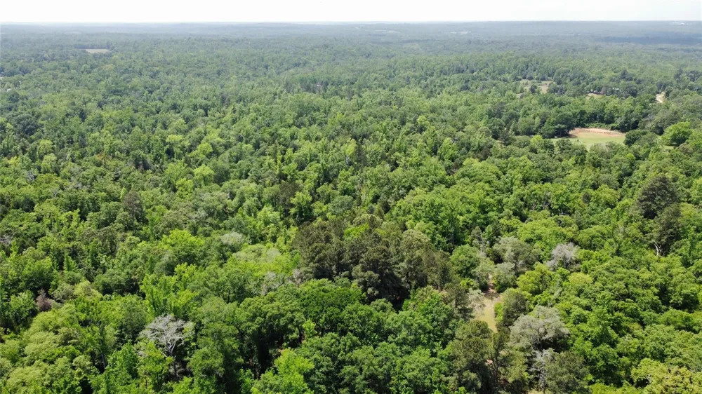 Pr 2210 Buffalo, TX 75831