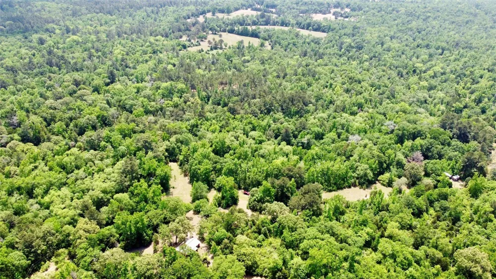 Pr 2210 Buffalo, TX 75831