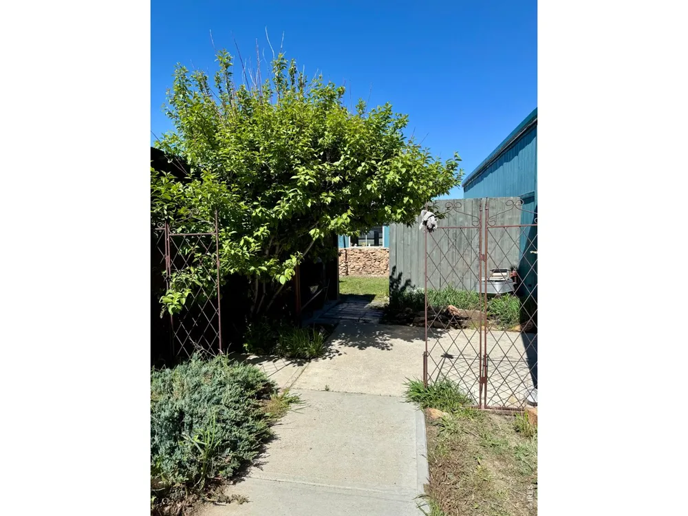 417 Grant Street Walden, CO 80480