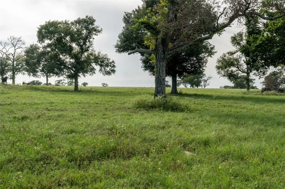 Aztec Lane New Ulm, TX 78950