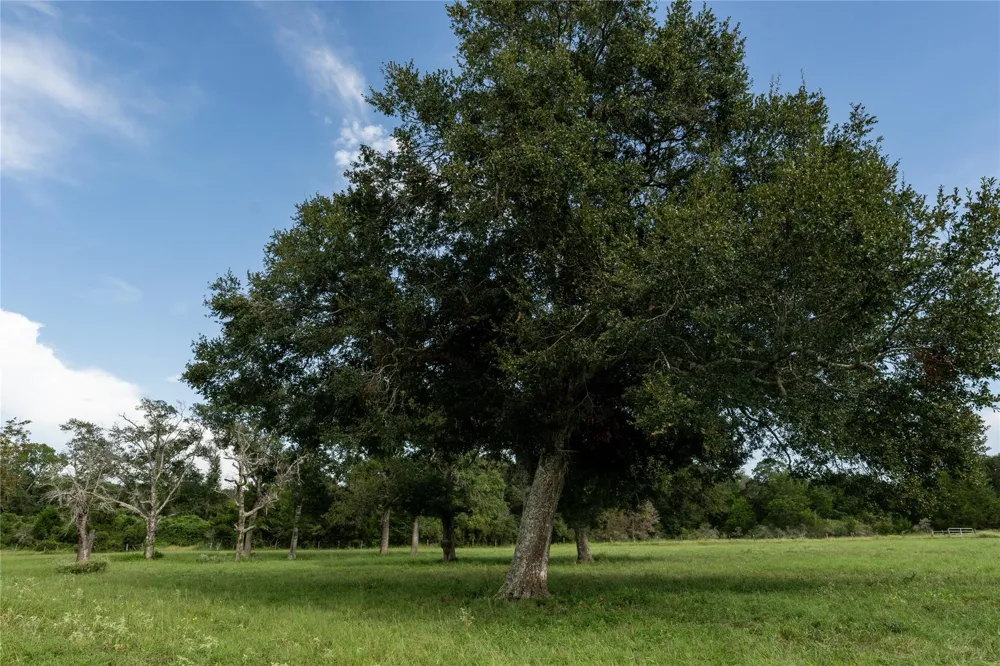 Aztec Lane New Ulm, TX 78950