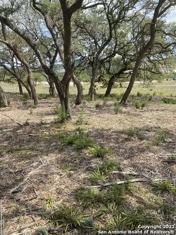 24510 Paraiso Ridge San Antonio, TX 78255