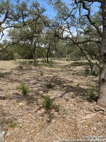 24510 Paraiso Ridge San Antonio, TX 78255