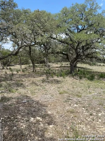24510 Paraiso Ridge San Antonio, TX 78255