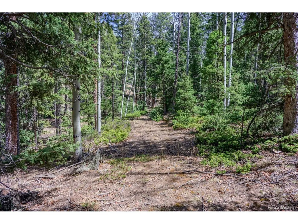 2763 Mountain Estates Road Florissant, CO 80816