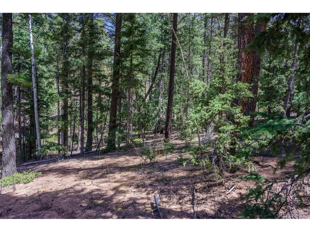 2763 Mountain Estates Road Florissant, CO 80816