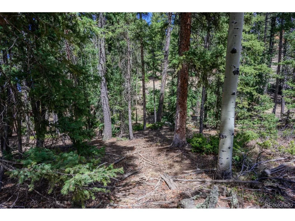 2763 Mountain Estates Road Florissant, CO 80816