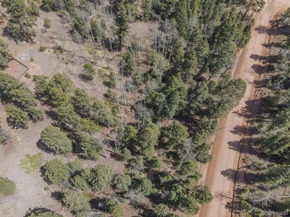 2763 Mountain Estates Road Florissant, CO 80816