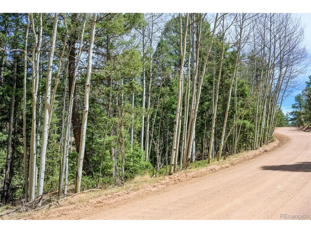 2763 Mountain Estates Road Florissant, CO 80816