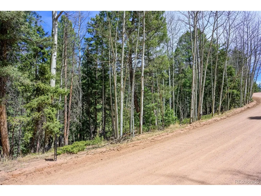 2763 Mountain Estates Road Florissant, CO 80816
