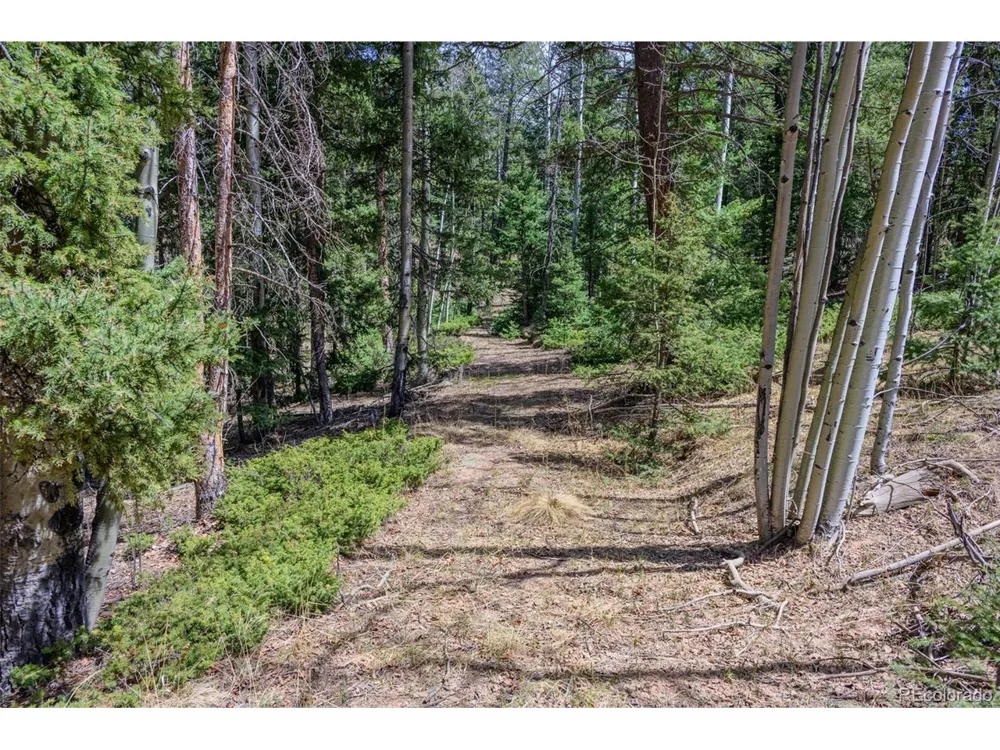 2763 Mountain Estates Road Florissant, CO 80816