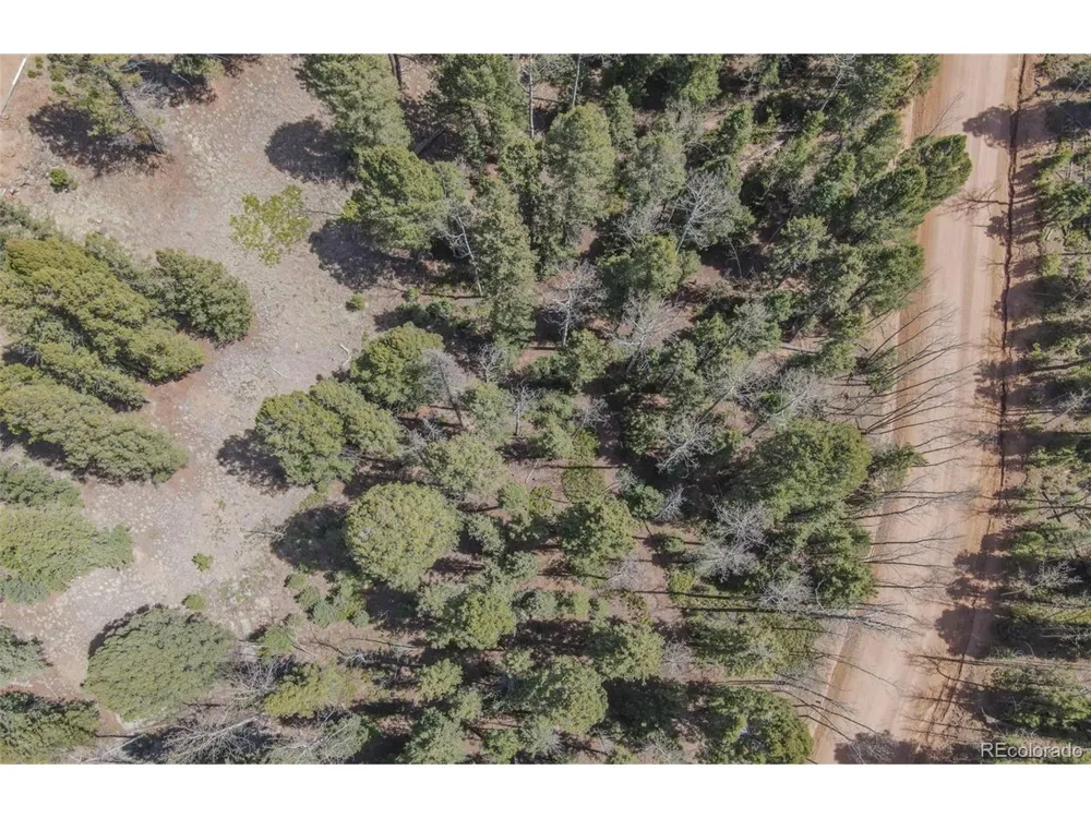 2763 Mountain Estates Road Florissant, CO 80816