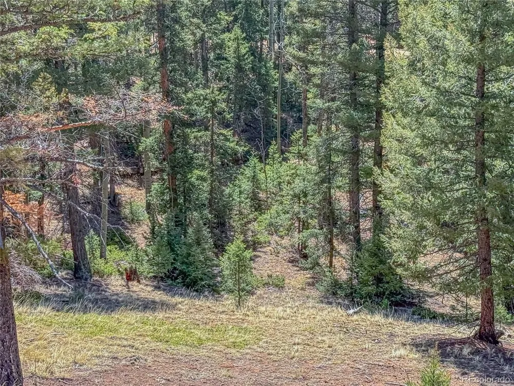 2763 Mountain Estates Road Florissant, CO 80816