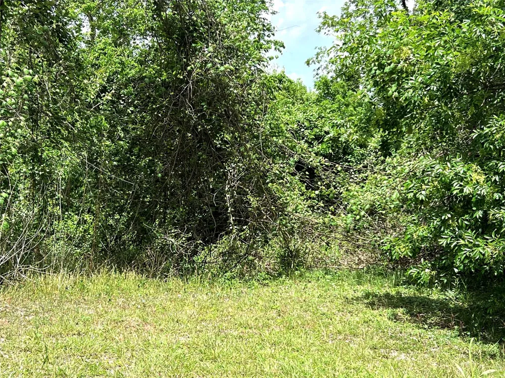 River Valley Drive Wharton, TX 77488