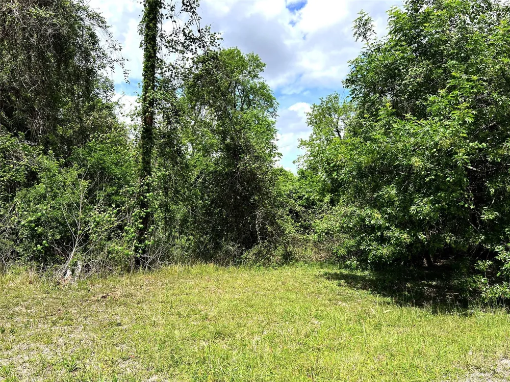River Valley Drive Wharton, TX 77488
