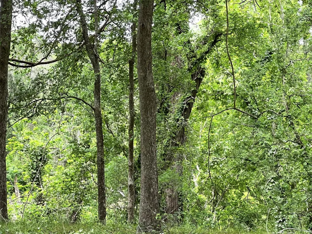 River Valley Drive Wharton, TX 77488