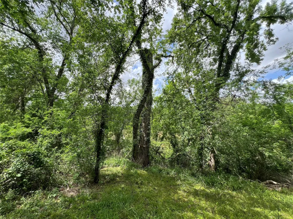 River Valley Drive Wharton, TX 77488