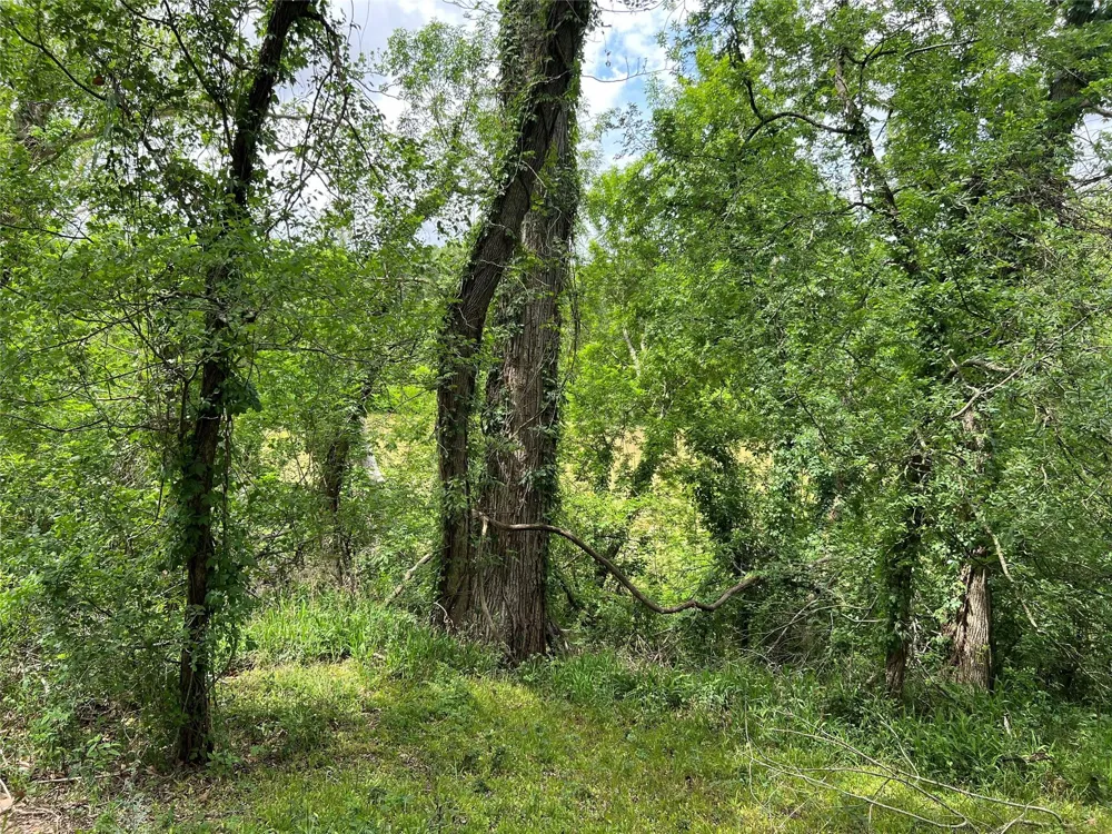 River Valley Drive Wharton, TX 77488