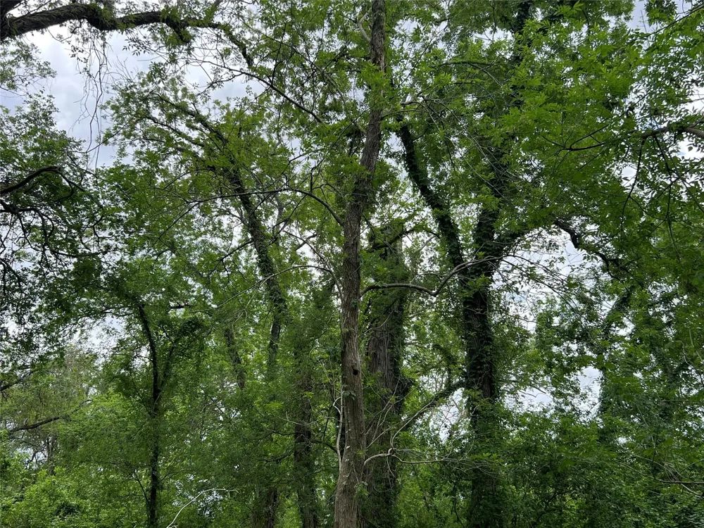 River Valley Drive Wharton, TX 77488